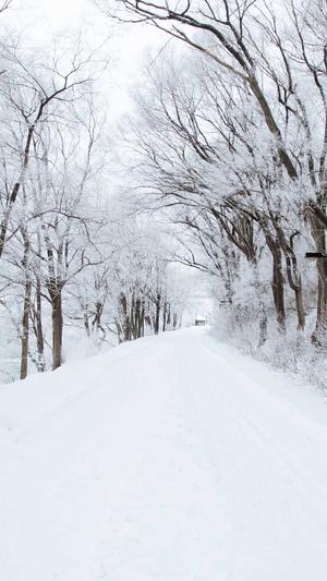 吃瓜的松鼠小说大全截图5